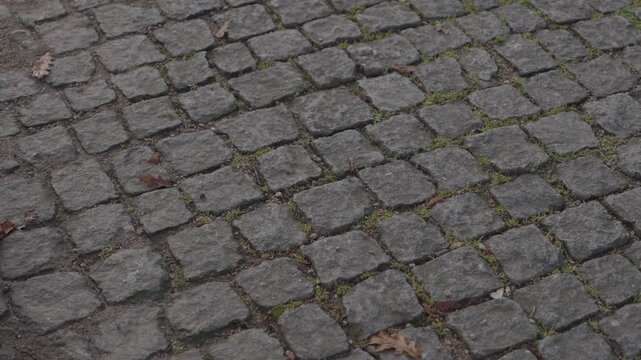 Person collecting trash from stone pavement at ground level