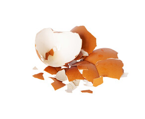 realistic farm chicken egg broken isolated