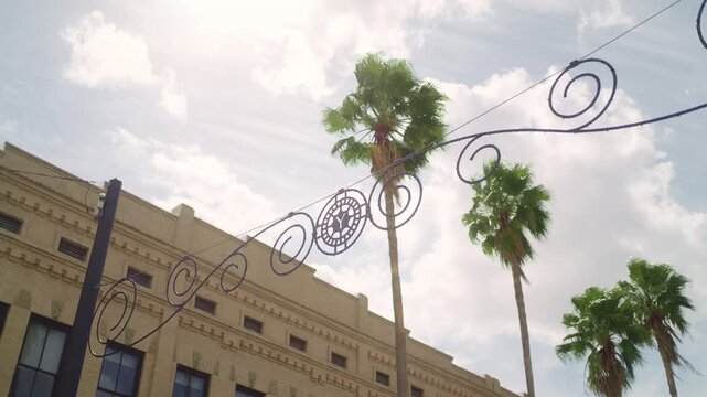Palm trees in Ybor.