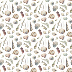 Hand-painted watercolor seashells seamless pattern on white background, ideal for wallpaper, fabric, wrapping paper and home decor