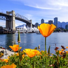 Vibrant yellow flowers by a city waterfront