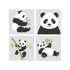 Obraz premium Giant Panda Vector Illustration Graphic Design Element