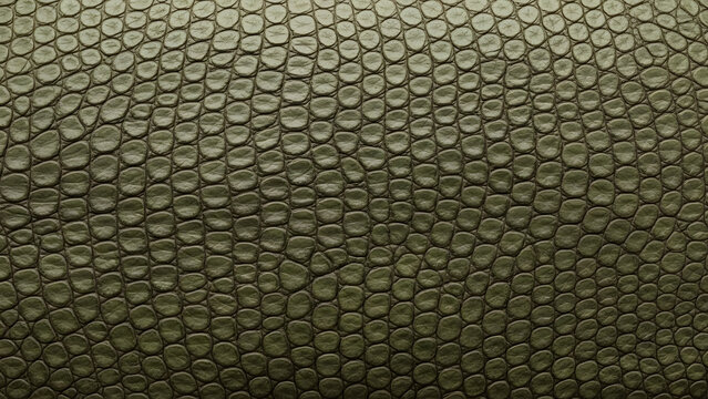 Close-up of textured reptile skin with intricate scale patterns.