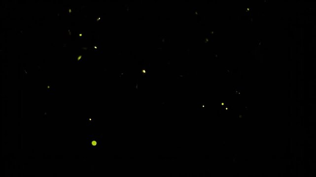 Dark night sky filled with small, blurred, glowing yellow spots, resembling fireflies