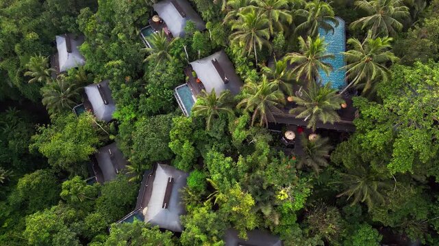 Overhead drone footage revealing luxury eco villas at Capella Ubud with private pools set within tropical jungle vegetation, palm trees and dense forest creating a secluded nature focused stay in Bali