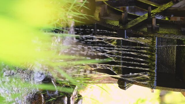 【縦動画】長野県安曇野市　新緑の前ボケと回転する木製水車　日本の原風景