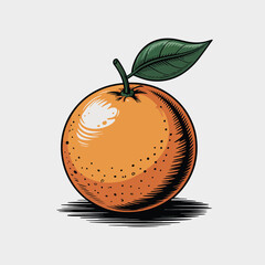 Vibrant orange fruit with leaf illustration