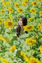 Naklejka premium Beautiful Woman in a Field of Sunflowers During Spring Season