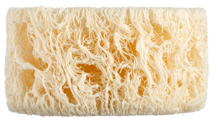 Close-up of a fibrous, beige object with intricate interwoven textures and porous areas