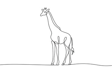 Continuous line drawing of a tall giraffe standing profile vector illustration © StockSynergy