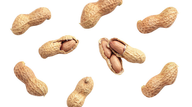 collection of various peanuts in shells, some cracked open, against a stark transparent background, showcasing natural textures and raw ingredients for healthy snacking and culinary uses.