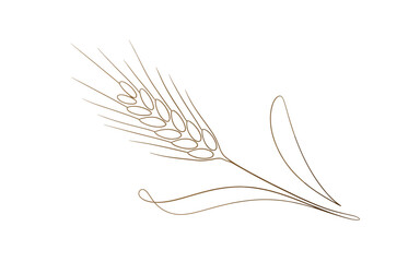 Fototapeta premium Hand drawn brown outline of a wheat stalk with leaves for rustic bakery branding and farm decor
