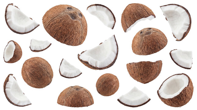 a visually engaging collection of whole coconuts and fresh pieces of coconut flesh and shell, presented on a clean transparent background for tropical food inspiration.