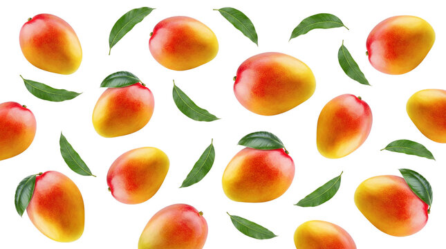 a vibrant collection of fresh mangoes with green leaves scattered against a stark transparent background, perfect for culinary and health-focused designs.