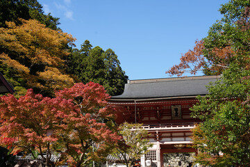 紅葉した楓と鞍馬寺の楼門