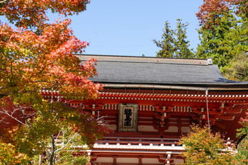 紅葉した楓と鞍馬寺の楼門