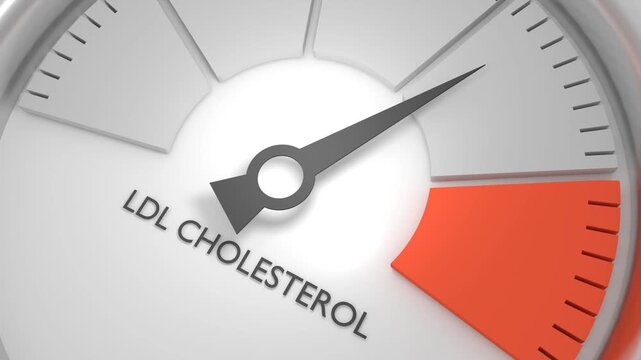 Cholesterol meter read high level result. Color scale with arrow. The measuring device icon. Colorful infographic gauge element