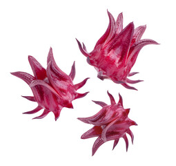 Fresh roselle fruits isolated on transparent background (.PNG)