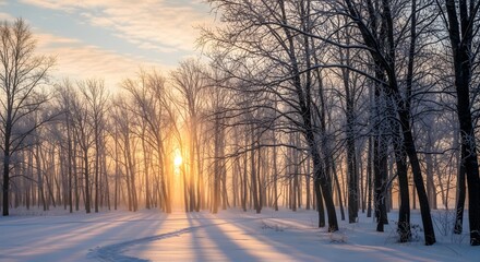 Winter Forest Sunrise Landscape.