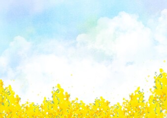 春の菜の花畑と青空を描いた水彩風背景イラスト｜菜の花,春,空,自然,花畑