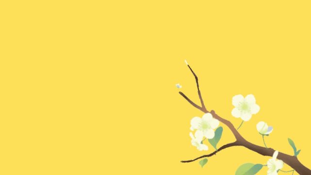 yellow cherry blossoms