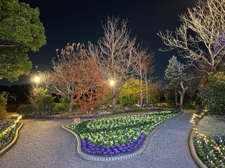 ライトアップされた庭