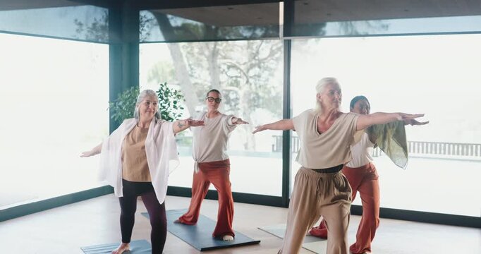 Yoga, senior women and exercise in class with warrior pose, stretching and holistic wellness. Yogi, elderly people and group practice with balance, health and fitness in active retirement in studio