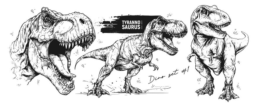 Vintage TRex study in ink, Dynamic ink hand-drawn sketch of TRex head and stance, Exaggerated ink portrayals of TRex demonstrating fierce expression and detailed teeth with vintage label