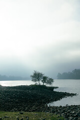 foggy morning on the river