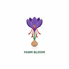 Stylized saffron crocus flower with bulb and red stigmas above green text
