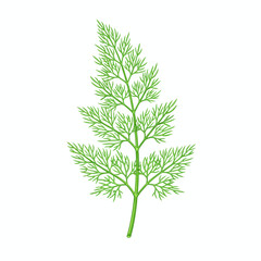Fototapeta premium Watercolor illustration of a bright green dill herb frond on a white background
