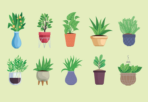 Colorful Plants Leaves Floral Illustrations Set