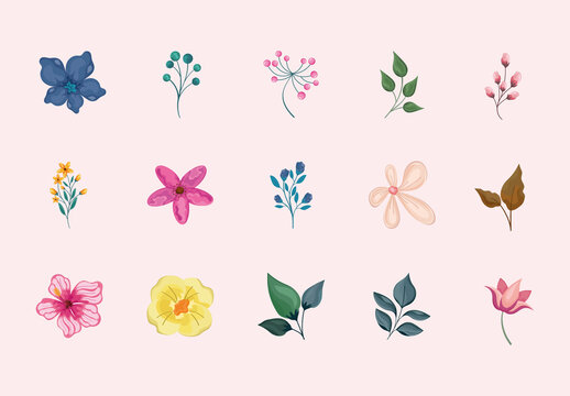 Colorful Flowers Nature Leaves Garden Botanical Illustrations Set