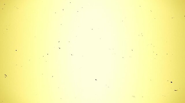 Burning super 8 film overlay with noise dirt vintage texture, 8mm frame, light leaks, film burn, and old cinematic grain transitions