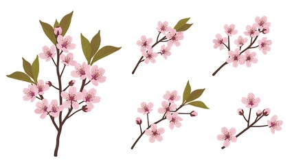 Fototapeta premium Aerial view of cherry blossoms with leaves, a serene botanical display.