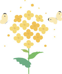 Rapeseed Blossoms and Butterflies Illustration. Cute Yellow Flowers with Cabbage White Butterflies