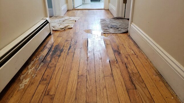 Water damage restoration and hardwood flooring repair assessment for residential property maintenance through emergency cleanup services and home renovation project planning requirements