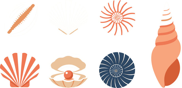 Sea shells vector collection with pearl oyster scallop and spiral conch shells isolated on grey background