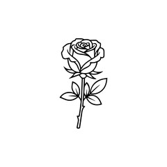 Simple line drawing of a rose Vector