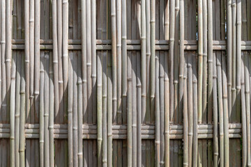 Fototapeta premium 竹塀（背景素材）