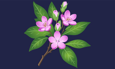 vector illustration of a pink flower