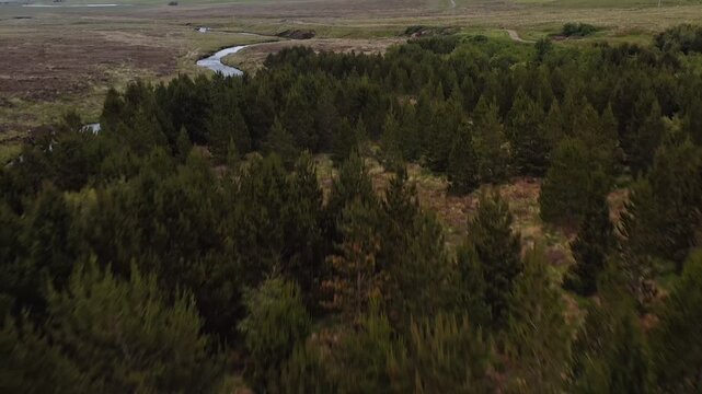 Drone shot over a forest, tilting to Gress river in the village of Back.