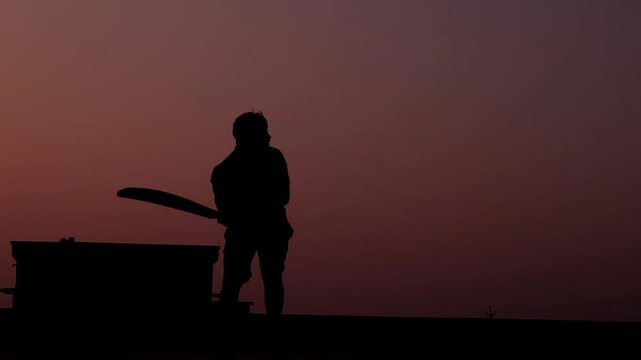 Unrecognized cricket player silhouette playing during golden hour with soft sunset tones. Ideal background footage for T20 cricket videos, sports promos, broadcast graphics, and championship storytell