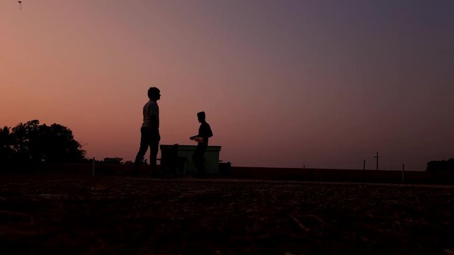 Cinematic silhouette of a young unrecognized cricket player holding a bat against a warm sunset sky. Perfect sports stock footage for cricket tournaments, World Cup themes, athletic branding, and insp