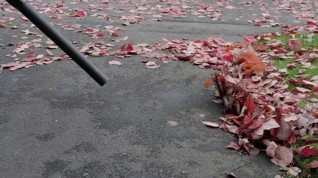 Clearing away leaves with a cordless leaf blower