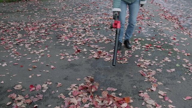 Clearing away leaves with a cordless leaf blower