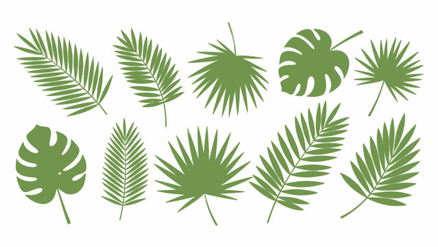 Collection of Various Tropical Leaves Shapes.