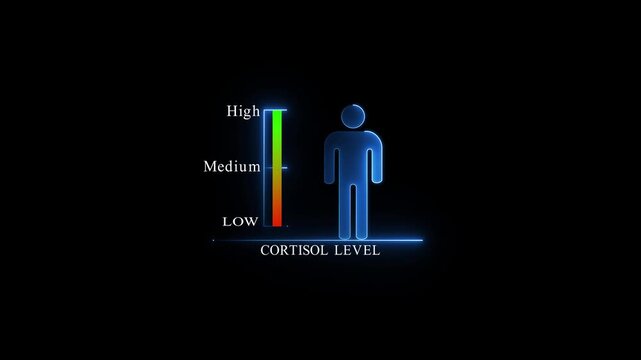 Human Silhouette with Low Cortisol Level Indicator, Glowing neon animation and black background..4k Animation.