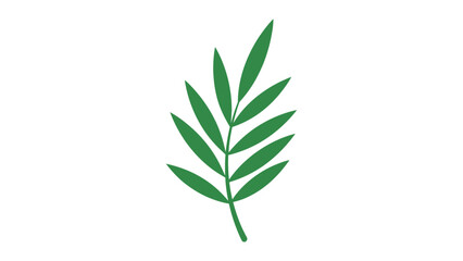 Fototapeta premium Green Leafy Branch with Long Leaves.