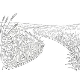 A winding path through tall grasses and fields sketched in a minimalist style © arfanah02